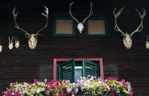 Sankt Johann in Tirol Hotel | Angerer Alm