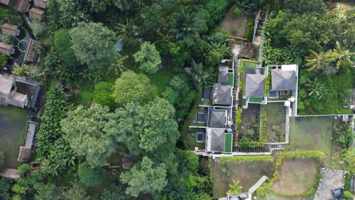 Singapadu Tengah Villa | Anggrek villa Ubud