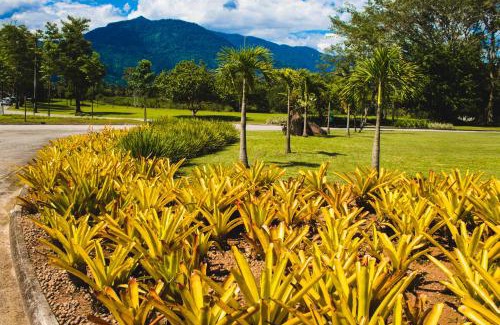 Bracui Apartment | Angra TOP2 Praia Piscina Marina 2 quartos