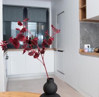 Sector 3 Apartment | Anise Apartment