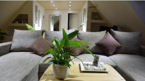 Ratekau Apartment | Ankerplatz Maria (Zuhause an der Ostsee)
