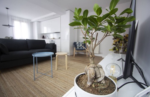 Burgos Apartment | Anki - A Cuatro Pasos de la Catedral