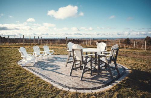 Williamsburg House | Ann Riley Farmhouse 6BDR on Yuba Vineyards - 8062
