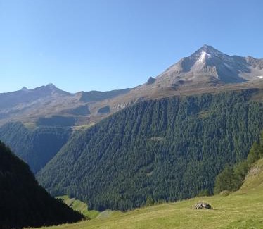 Predoi Apartment | Anna Apartment 5