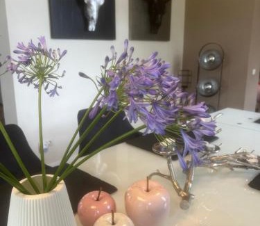 Municipality of Venlo Apartment | Annahoeve Venlo, Landhaus 220 qm