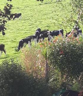 Cahir Bed & Breakfast | Annaswood B&B