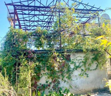 Samegrelo-Zemo Svaneti House | anno's house