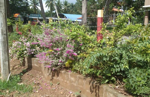 Hingurakgala House | Anoma Gedara