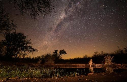 Phalaborwa House | Antares Bush Camp & Umgede Hide