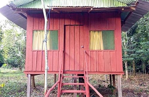 Nauta Hotel | Antares Jungle Lodge