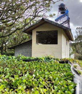 El Rosal House | Antares Rural
