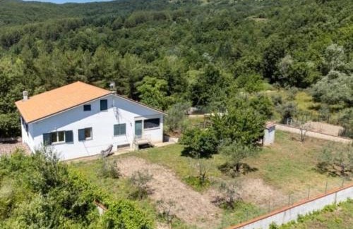 Torrebruna House | Anthony House