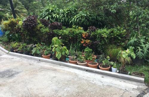 Wotten Waven Apartment | Anthurium Apartment