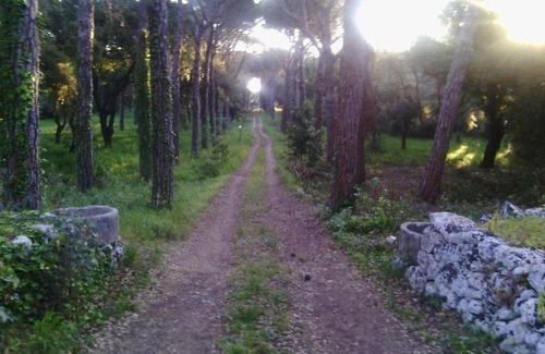 Maglie House | Antica riserva dei daini