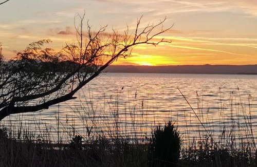 Montefiascone Bed & Breakfast | Antico Casale dei Mercanti