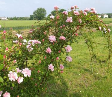 Sale Bed & Breakfast | Antico Pioppo