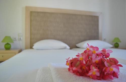 Milatos Beach Apartment | Antigoni Apartments 'Olive Room'