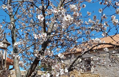 Santa Maria la Real de Nieva Cottage | Antigua Casa Segoviana a 35 km de Segovia Ciudad Patrimonio de la Humanidad