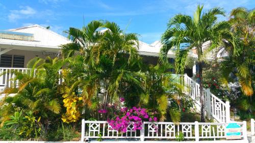 Sainte-Anne Resort | Antilles Liberte