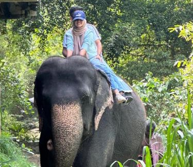 Pinnawala Boat Rental | Antique lanka tours