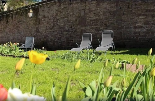 Luxeuil-les-Bains Apartment | Antoinette