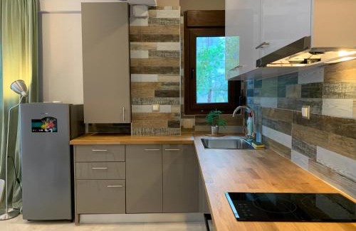 Evosmos Apartment | Antony Luxury Suite in Thessaloniki