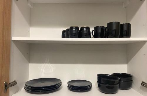Addicks Apartment | Anu Rentals