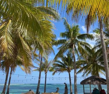 Rote Island Resort | Anugerah Surf & Dive