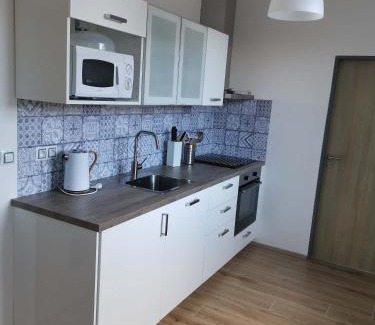 Hartmanice Apartment | Apík Hartmanice