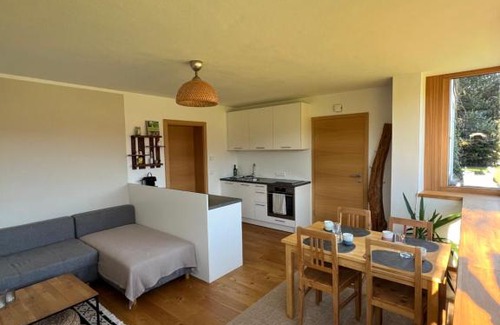 Saalfelden am Steinernen Meer Apartment | Apartment Steinernes Meer