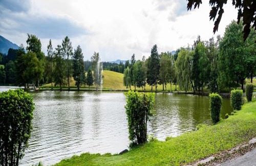 Saalfelden am Steinernen Meer Apartment | Apartment in Saalfelden near Ski Slopes, cleaning included