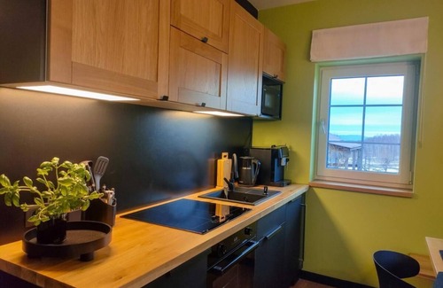 Stara Kamienica Apartment | ApaLuza - unique comfort & relax in nature. Horses in front of the house, pool in summer!