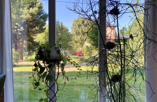 Guelzow Apartment | Apartment "Bird's Nest" with a large garden - peace and nature near the Baltic Sea
