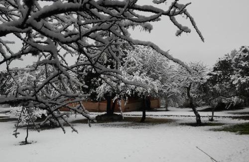 Nono Cabin | Apart & Cabañas "Cañada del Sauce"