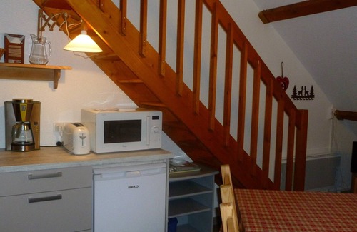 Laveissiere Apartment | Apart. duplex for 6 people opposite the Masseboeuf chairlift