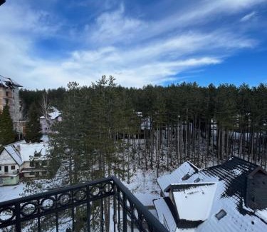 Zlatibor Apartment | Apart-hotel Breza