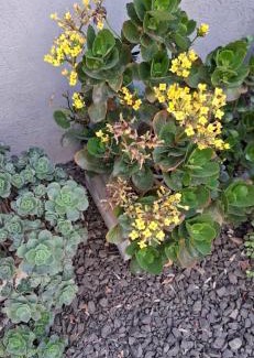 Colon Apartment | Apart Las Hermanas