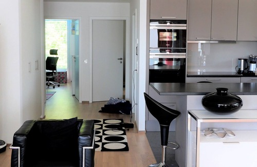 Le Mont-sur-Lausanne Apartment | Apart. nine high standing lake view (3 ch)
