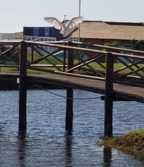 Estancia Apartment | Apart Resort Vila das Águas Veraneio