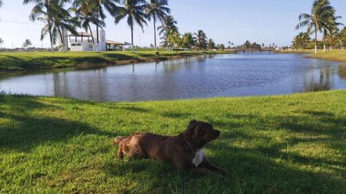 Estancia Apartment | Apart Resort Vila das Águas Veraneio