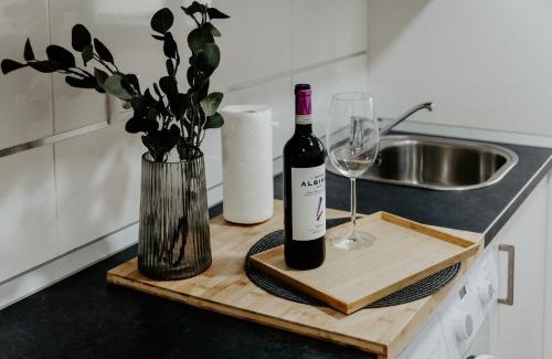 San Vicente de la Sonsierra Apartment | Apartamento San Vicente de la Sonsierra Confort