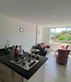 Pinchote Apartment | Aparta hotel para descaso en San Gil