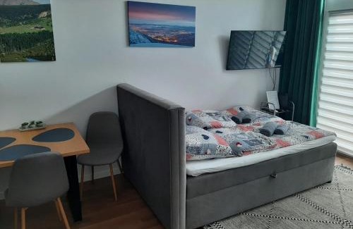 Fabryczna Apartment | Aparta Lotnisko