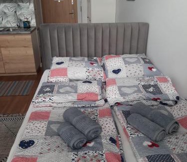 Fabryczna Apartment | Aparta Lotnisko