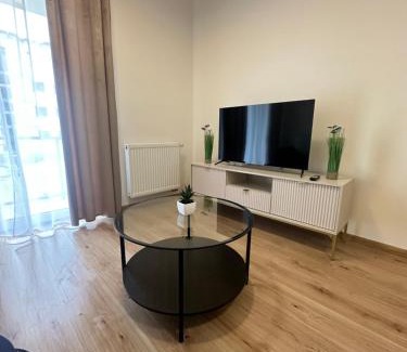 Gorzow Wielkopolski Apartment | Apartament ŻELAZNY HGS Home