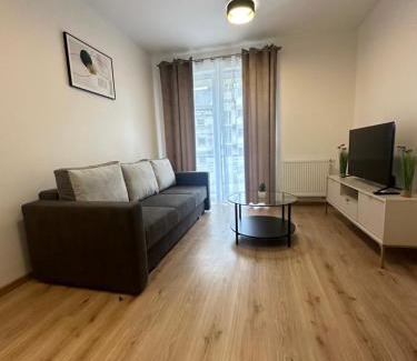 Gorzow Wielkopolski Apartment | Apartament ŻELAZNY HGS Home
