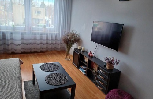 Nowy Dwor Gdanski Apartment | Apartament Żuławy, na wyłączność