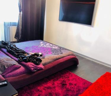 Emanoil Gojdu Apartment | Apartament Adrian