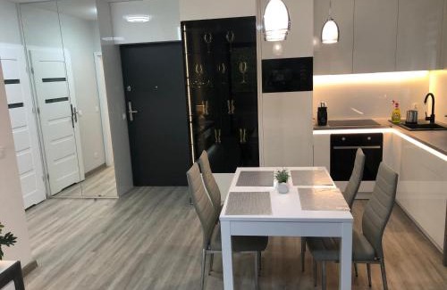 West Pomeranian Voivodeship Apartment | Apartament Agnes Szczecin Pomorzany