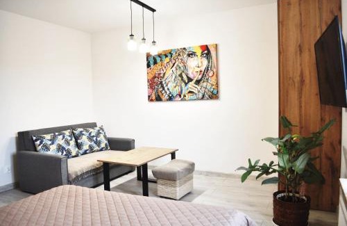 Tolkmicko Apartment | Apartament Aleksandra